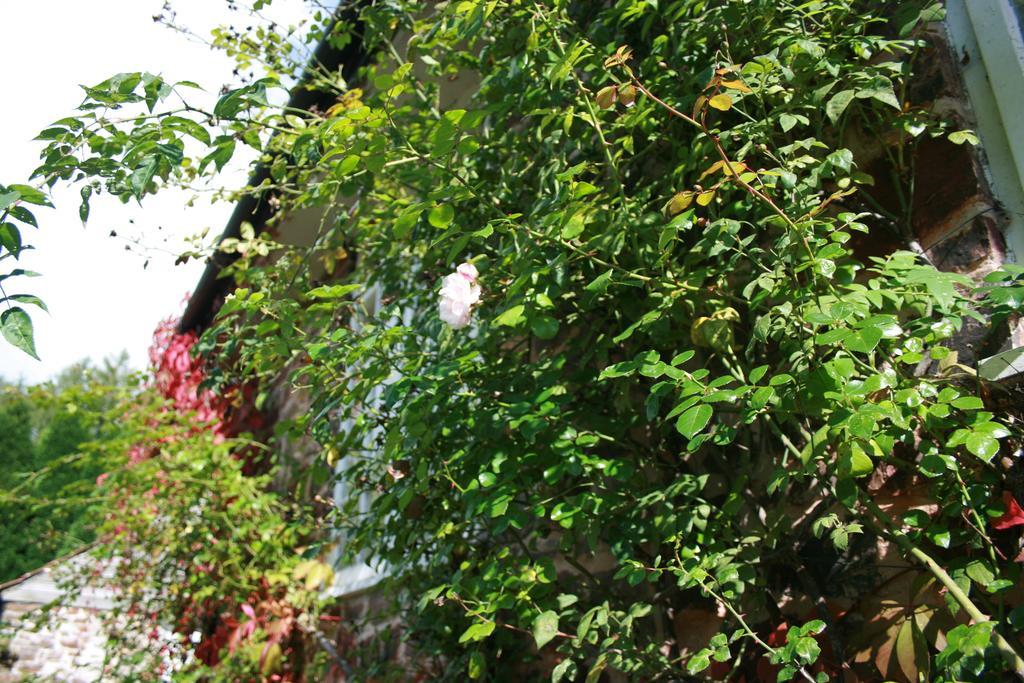 The Bark House Hotel Tiverton  Ngoại thất bức ảnh